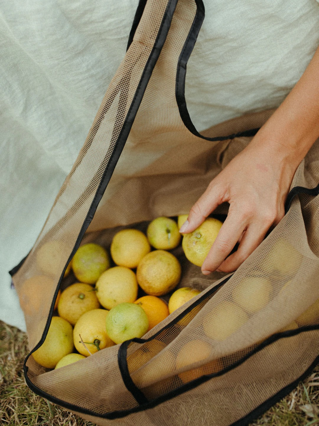 Nat + Noor Joan Bag In Tan