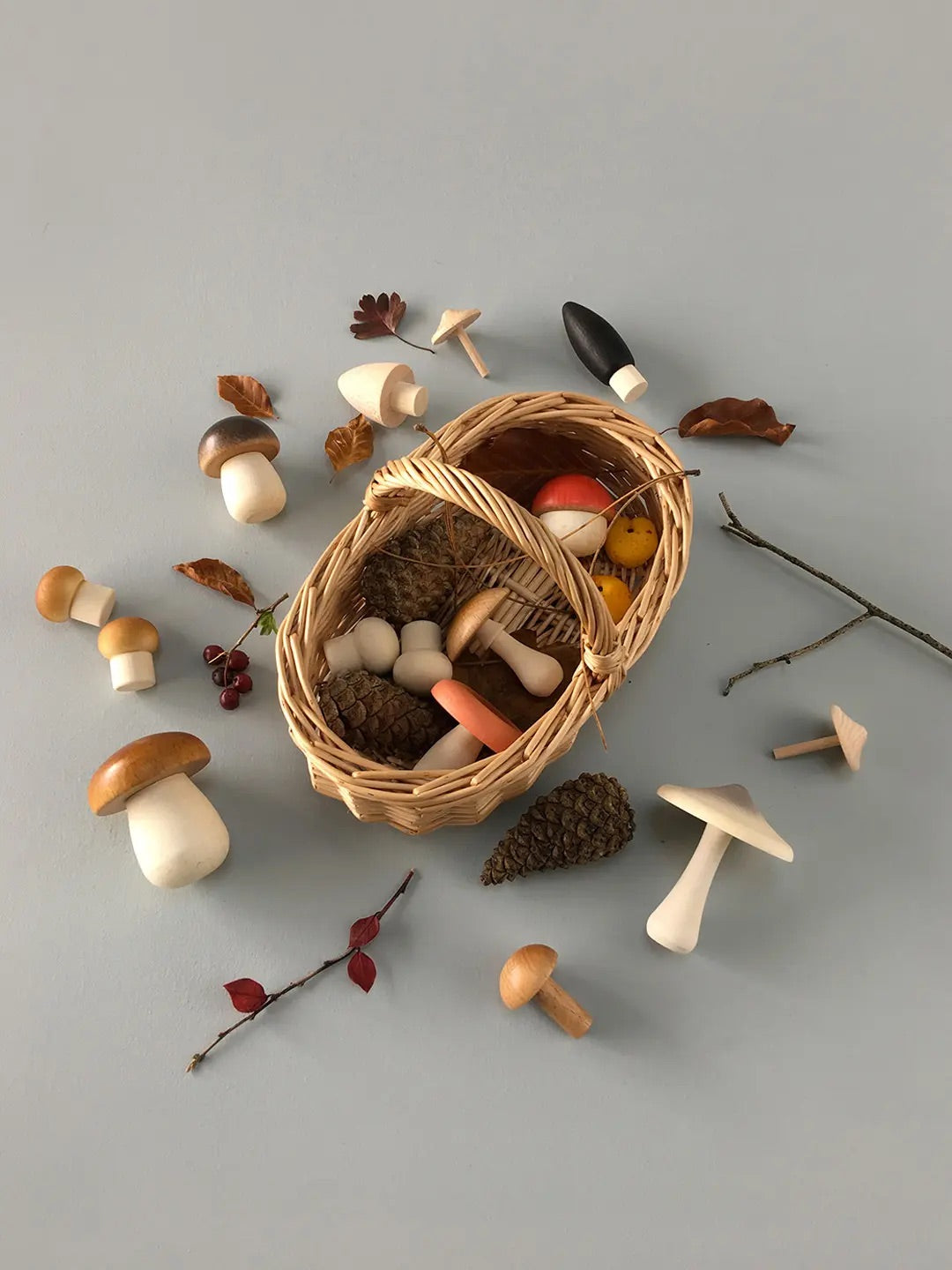 Moon Picnic Forest Mushrooms Basket